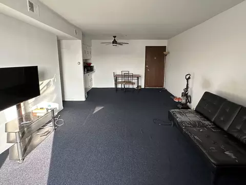Living - 830 Elder Rd #B403, Homewood, IL 60430 photo 2 of 2