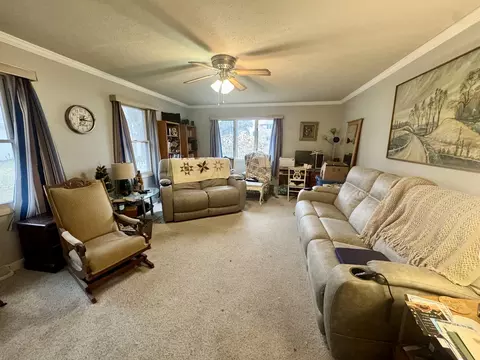 Living - 206 E Warren St, Le Roy, IL 61752 photo 2 of 3