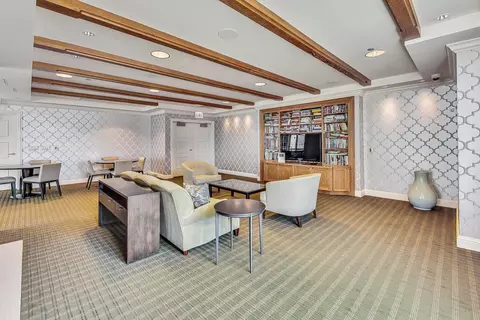 Living - 10 E Delaware Pl #20A, Chicago, IL 60610 photo 6 of 6