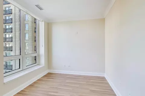 Other - 10 E Delaware Pl #20A, Chicago, IL 60610 photo 4 of 10