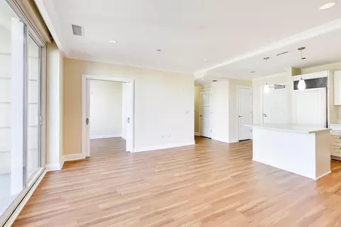 Living - 10 E Delaware Pl #20A, Chicago, IL 60610 photo 3 of 6