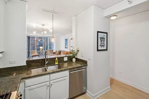 450 E Waterside Dr #1306, Chicago, IL 60601 photo 10