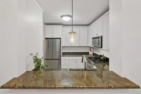 450 E Waterside Dr #1306, Chicago, IL 60601 photo 8