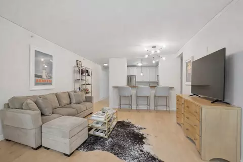450 E Waterside Dr #1306, Chicago, IL 60601 photo 6
