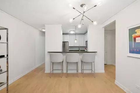 450 E Waterside Dr #1306, Chicago, IL 60601 photo 7