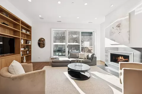 Living - 53 E Bellevue Pl, Chicago, IL 60611 photo 4 of 7