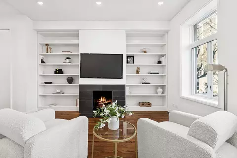 Living - 53 E Bellevue Pl, Chicago, IL 60611 photo 7 of 7