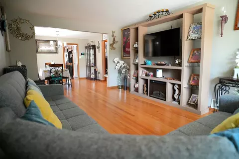 Living - 1428 12 N Ashbel Ave, Berkeley, IL 60163 photo 1 of 2