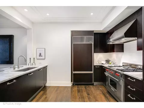 159 E Walton Pl #7G, Chicago, IL 60611 photo 15