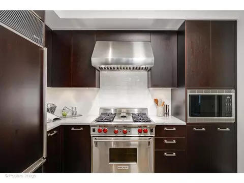 159 E Walton Pl #7G, Chicago, IL 60611 photo 16