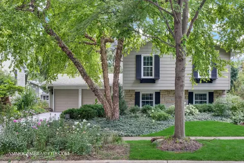 141 N Lancaster Dr, Bolingbrook, IL 60440