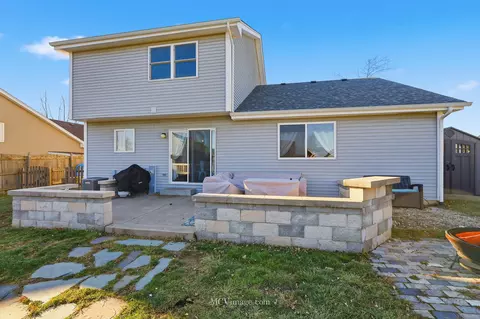 26221 N Cherry Ln, Monee, IL 60449 photo 30