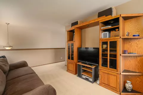 16320 Spring Creek Ln, Plainfield, IL 60586 photo 15