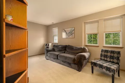 16320 Spring Creek Ln, Plainfield, IL 60586 photo 19