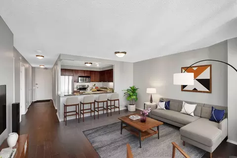 Living - 30 E Huron St #3005, Chicago, IL 60611 photo 4 of 6