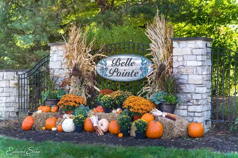 9314 Emily Ln, Union, IL 60180
