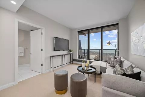 Living - 60 E Monroe St #1602, Chicago, IL 60603 photo 6 of 8