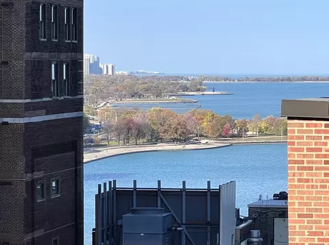 View/Area - 200 E Delaware Pl #19A, Chicago, IL 60611 photo 1 of 1