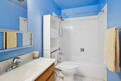 Bath - 368 Willow Tree Ct, Hoffman Estates, IL 60169 photo 3 of 3