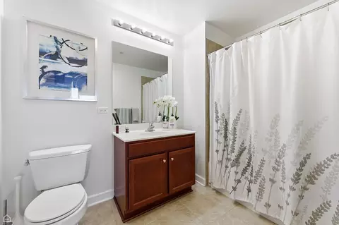 Bath - 100 E 14th St #1107, Chicago, IL 60605 photo 1 of 1