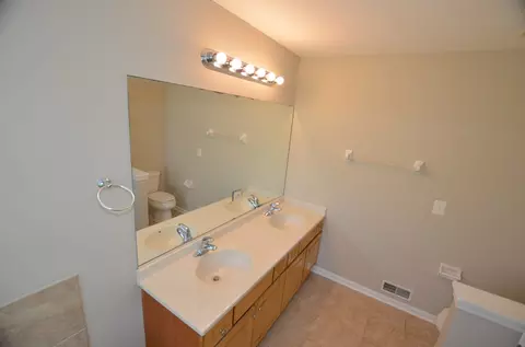 Bath - Undisclosed, Aurora, IL 60502 photo 3 of 7