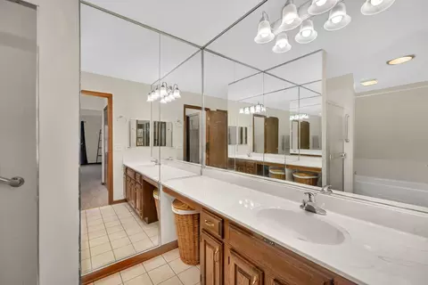 Bath - 20815 Torrey Pines Ln, Plainfield, IL 60544 photo 2 of 3