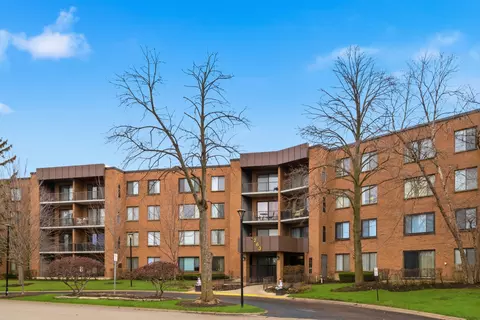 263 S Clubhouse Dr S #304, Palatine, IL 60074