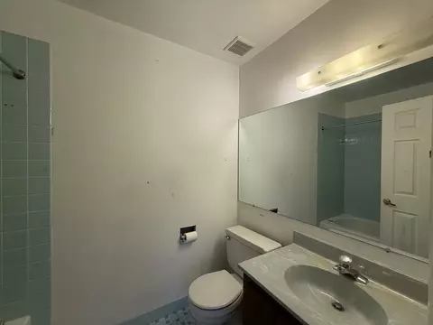 Bath - 7 E Carriageway Dr #311, Hazel Crest, IL 60429 photo 3 of 3