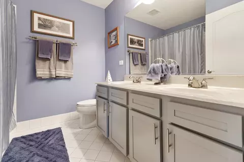 Bath - 1127 Pine Valley Ct, Elgin, IL 60124 photo 4 of 5