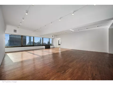 Living - 175 E Delaware Pl #5116, Chicago, IL 60611 photo 1 of 17