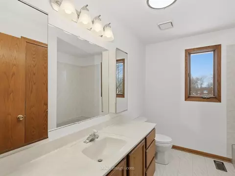 Bath - 729 N 8th Ave, Addison, IL 60101 photo 3 of 3