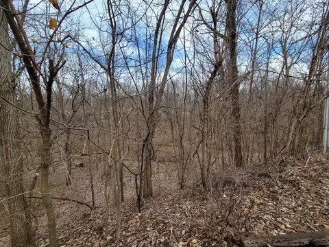Other - 408 E 4th St, Spring Valley, IL 61362 photo 8 of 8