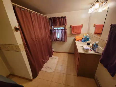 Bath - 408 E 4th St, Spring Valley, IL 61362 photo 3 of 3