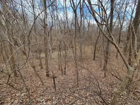 Other - 408 E 4th St, Spring Valley, IL 61362 photo 7 of 8