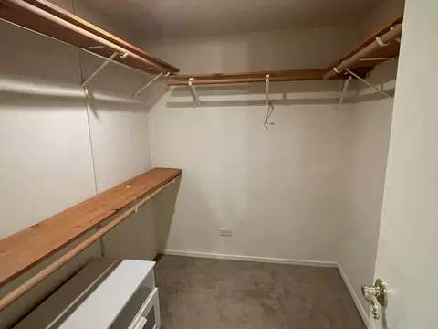 Other - 175 E Delaware Pl #4620, Chicago, IL 60611 photo 4 of 8
