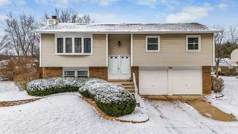 730 Chestnut Ct, Algonquin, IL 60102 photo 2