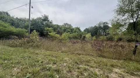 0007 Green Acres Rd, Pembroke Township, IL 60958