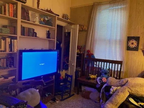 Other - 215 W Devlin St, Spring Valley, IL 61362 photo 4 of 5