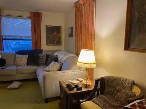 Other - 215 W Devlin St, Spring Valley, IL 61362 photo 2 of 5