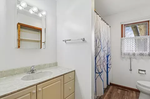 Bath - 206 Maple St W, Sidney, IL 61877 photo 2 of 2