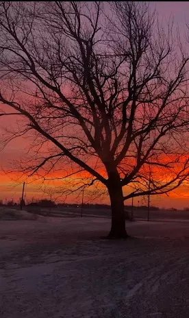 Other - 2728 W Brooklyn Rd, Compton, IL 61318 photo 15 of 15