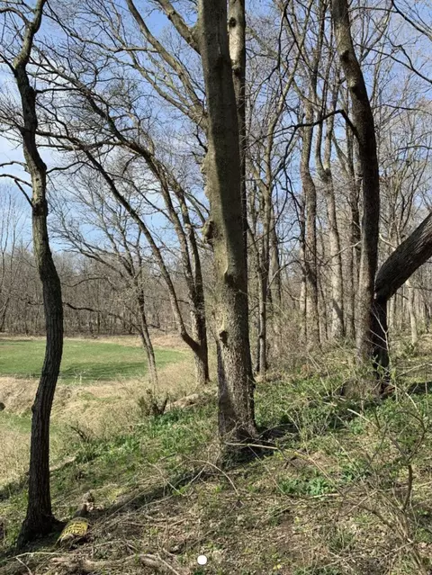 0 Winterbottom Rd, Morris, IL 60450 photo 5