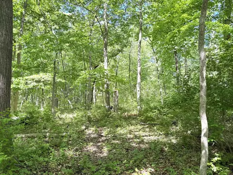 0 Winterbottom Rd, Morris, IL 60450 photo 3