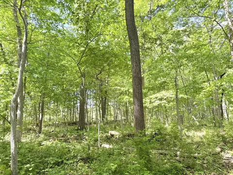 0 Winterbottom Rd, Morris, IL 60450 photo 2