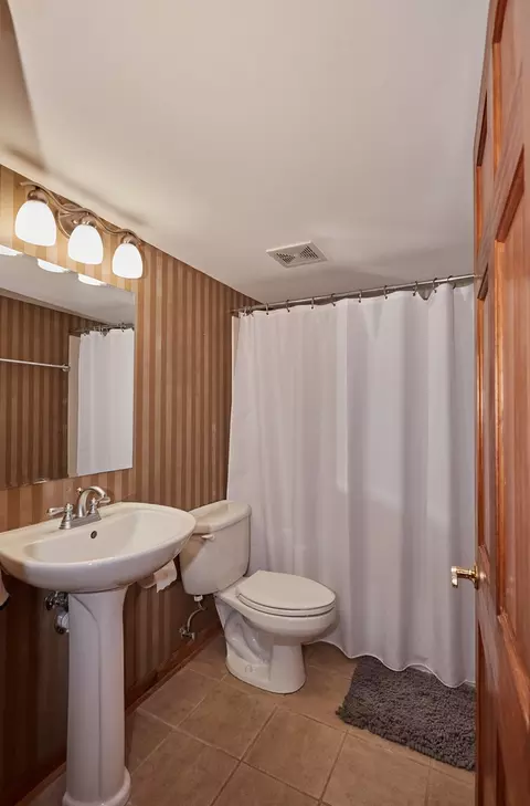 Bath - 529 Horizon Dr, Bartlett, IL 60103 photo 4 of 4