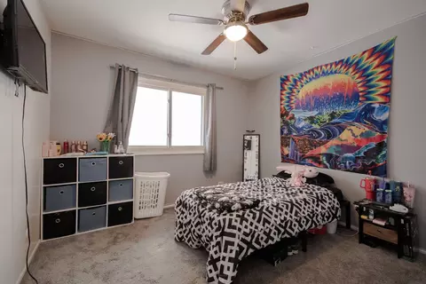 Bedroom - 746 E Devon Ave, Roselle, IL 60172 photo 1 of 2