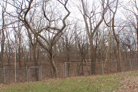 Other - 3210 15th Street A, Moline, IL 61265 photo 5 of 11