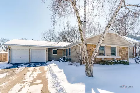 915 Plum Grove Cir, Buffalo Grove, IL 60089