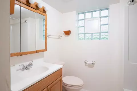 Bath - 4841 N Rutherford Ave, Chicago, IL 60656 photo 3 of 4