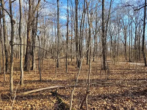 242 State Route 37 Hwy, Kell, IL 62853 photo 5